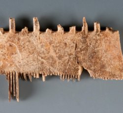 Bone dressing or grooming comb fragment.