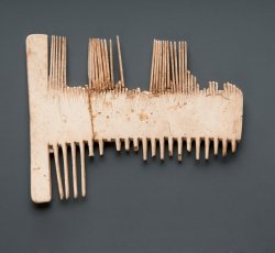 Bone dressing or grooming comb, nearly complete.