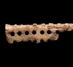 Bone brush stock.