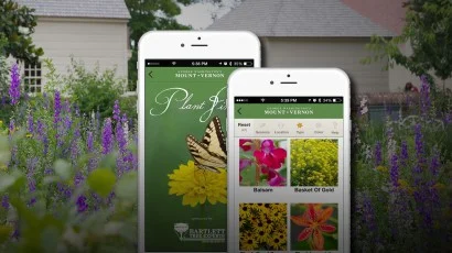 app-promotion-marque-2.jpg