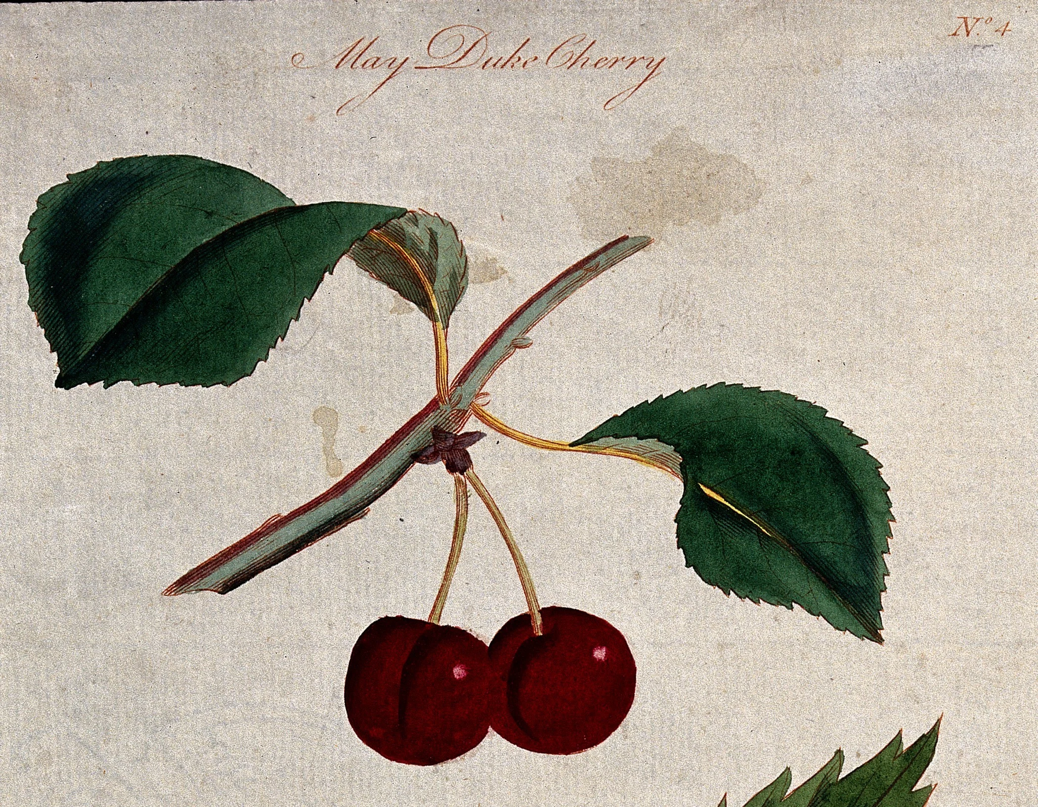 250 Years Ago on This Day | George Washington's Mount Vernon